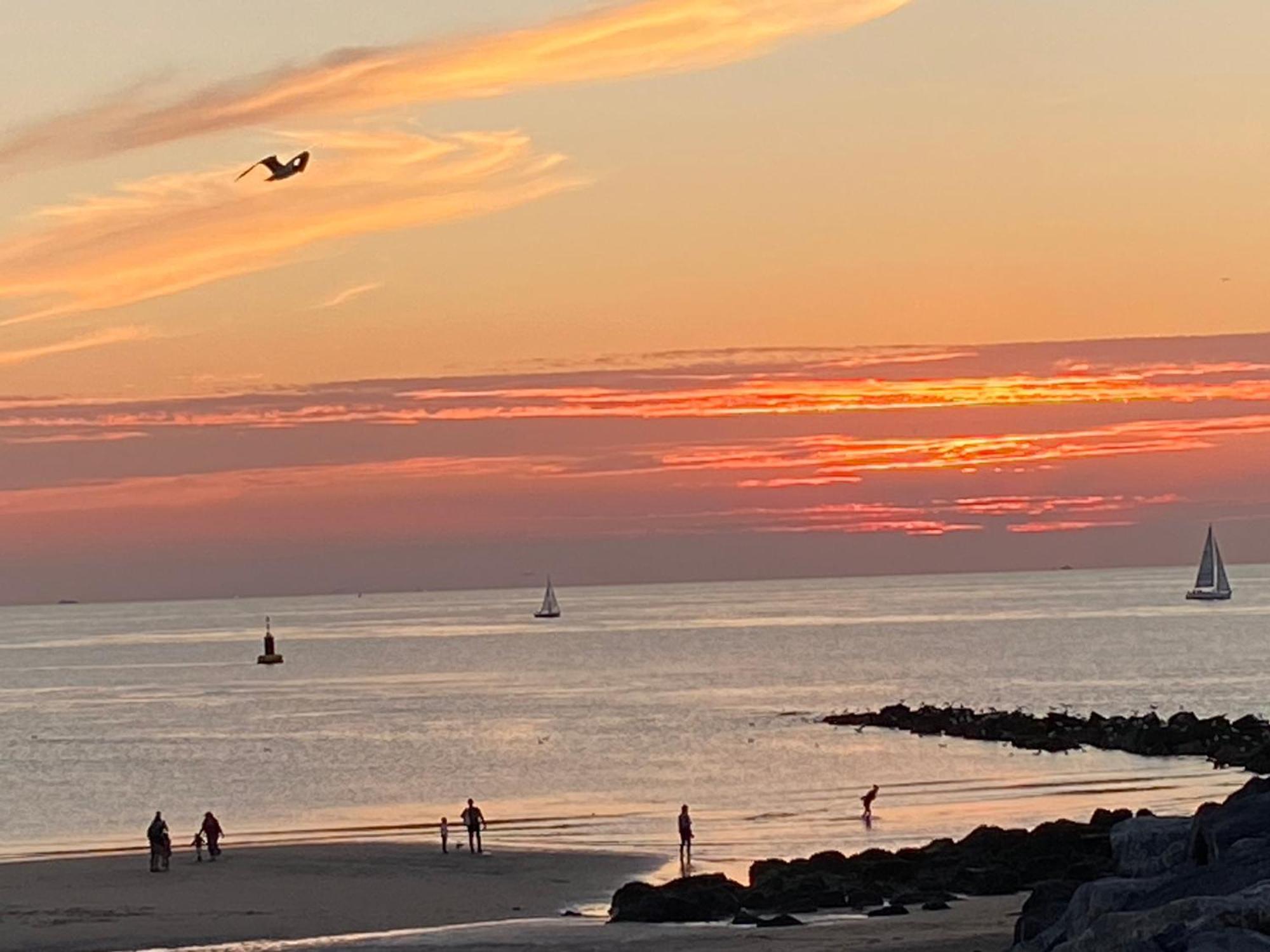 Immaya Oostende Exteriör bild